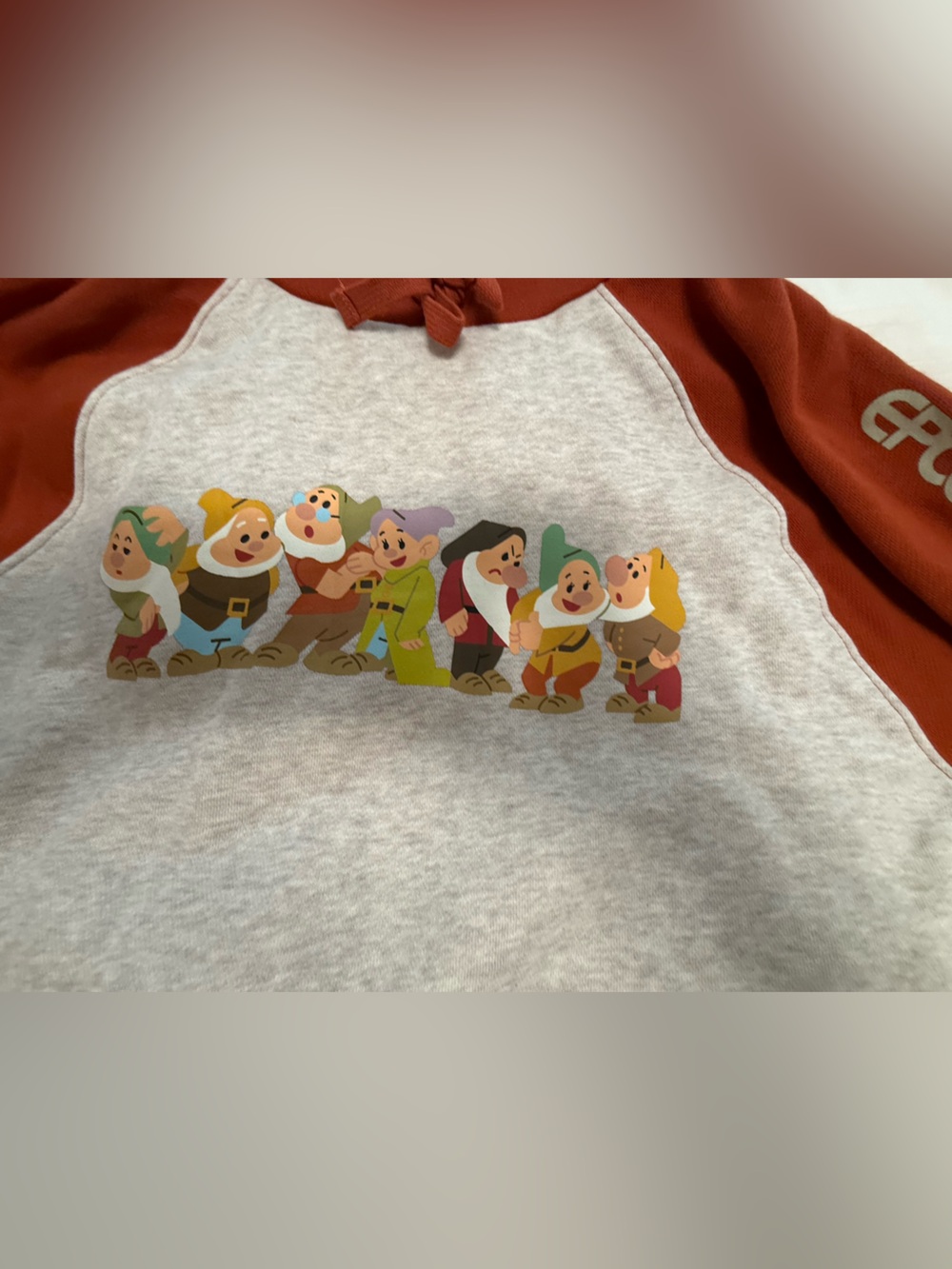 Epcot Germany Seven Dwarves hoodie. Special edition Walt Disney World.